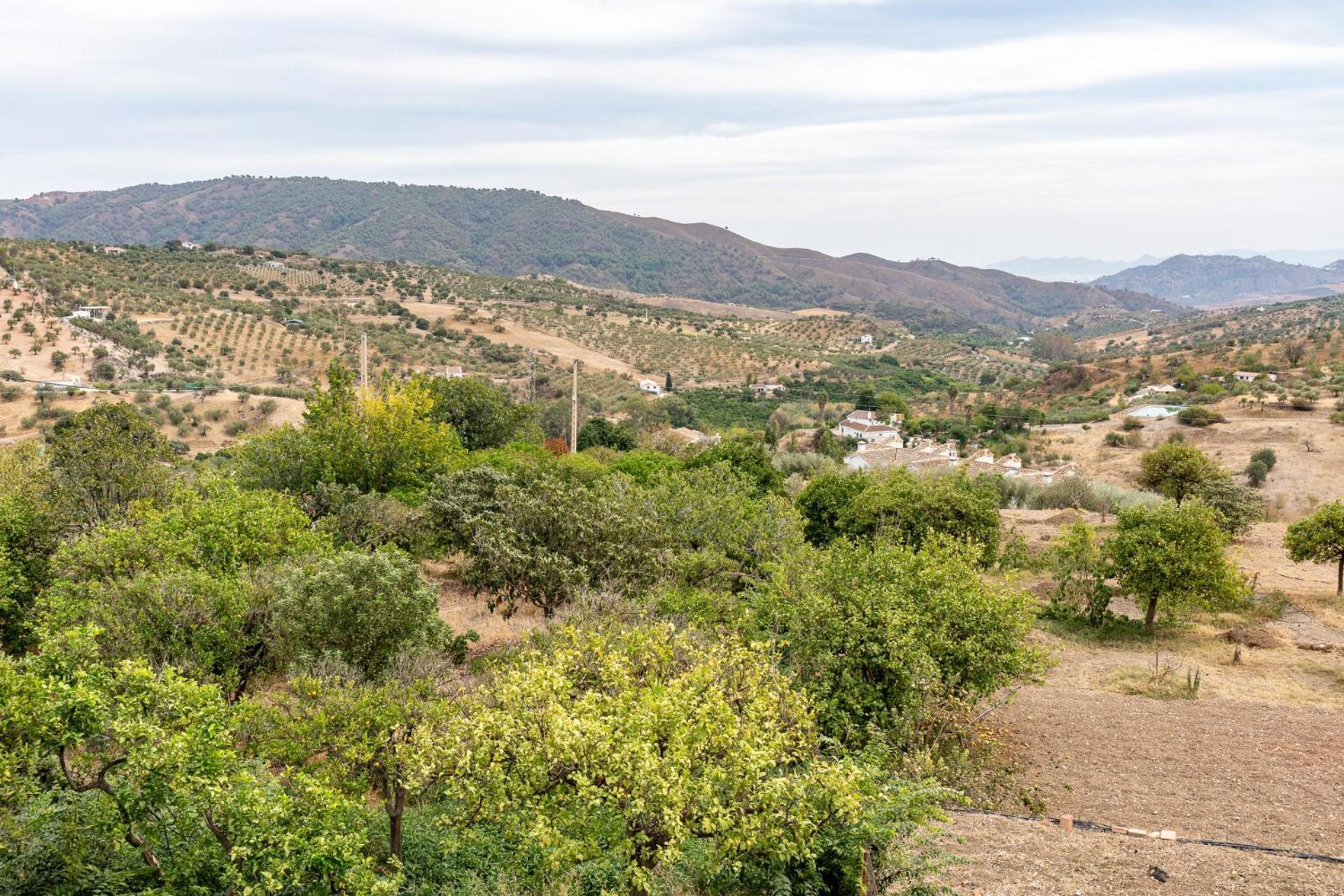 Malagasuite Cortijo Robles Casarabonela Екстер'єр фото
